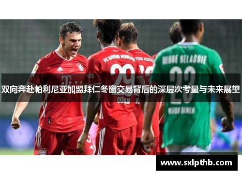 双向奔赴帕利尼亚加盟拜仁冬窗交易背后的深层次考量与未来展望