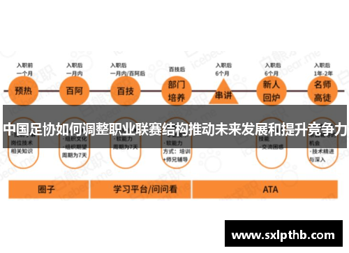 中国足协如何调整职业联赛结构推动未来发展和提升竞争力