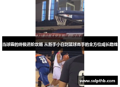 当球霸的终极进阶攻略 从新手小白到篮球高手的全方位成长路线