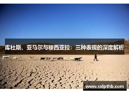 库杜斯、亚马尔与穆西亚拉：三种表现的深度解析
