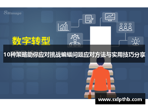 10种策略助你应对挑战蝙蝠问题应对方法与实用技巧分享