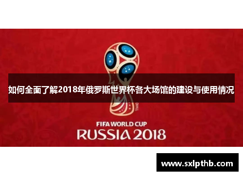 如何全面了解2018年俄罗斯世界杯各大场馆的建设与使用情况