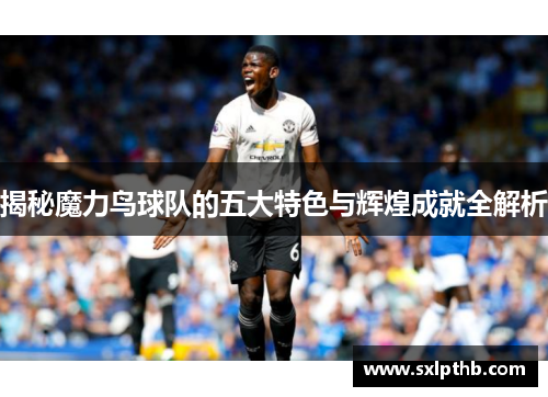 揭秘魔力鸟球队的五大特色与辉煌成就全解析